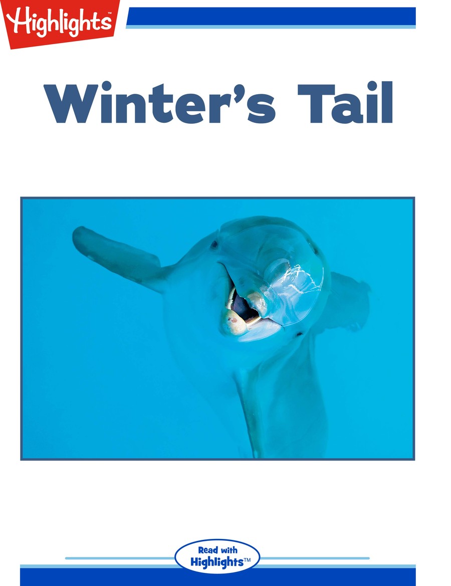 Winter's Tail : Highlights