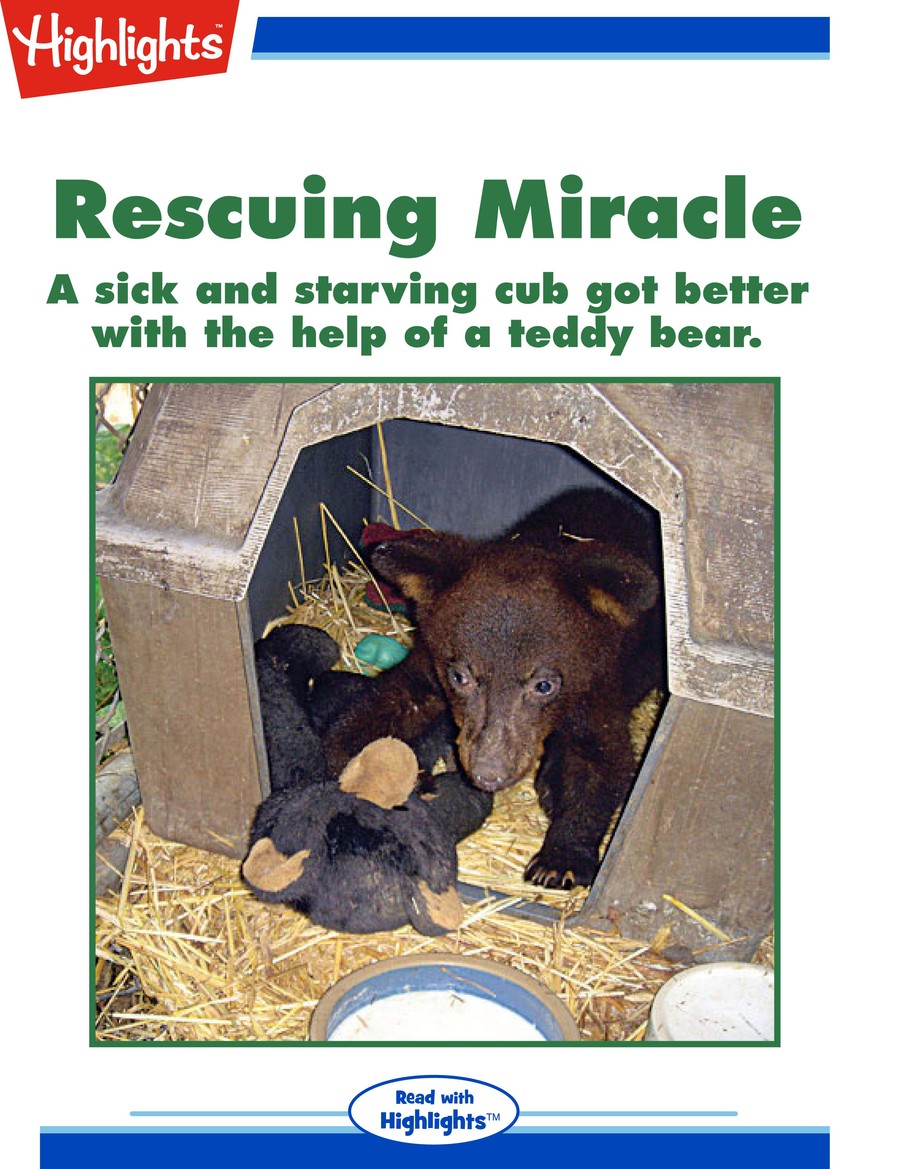 Rescuing Miracle : Highlights