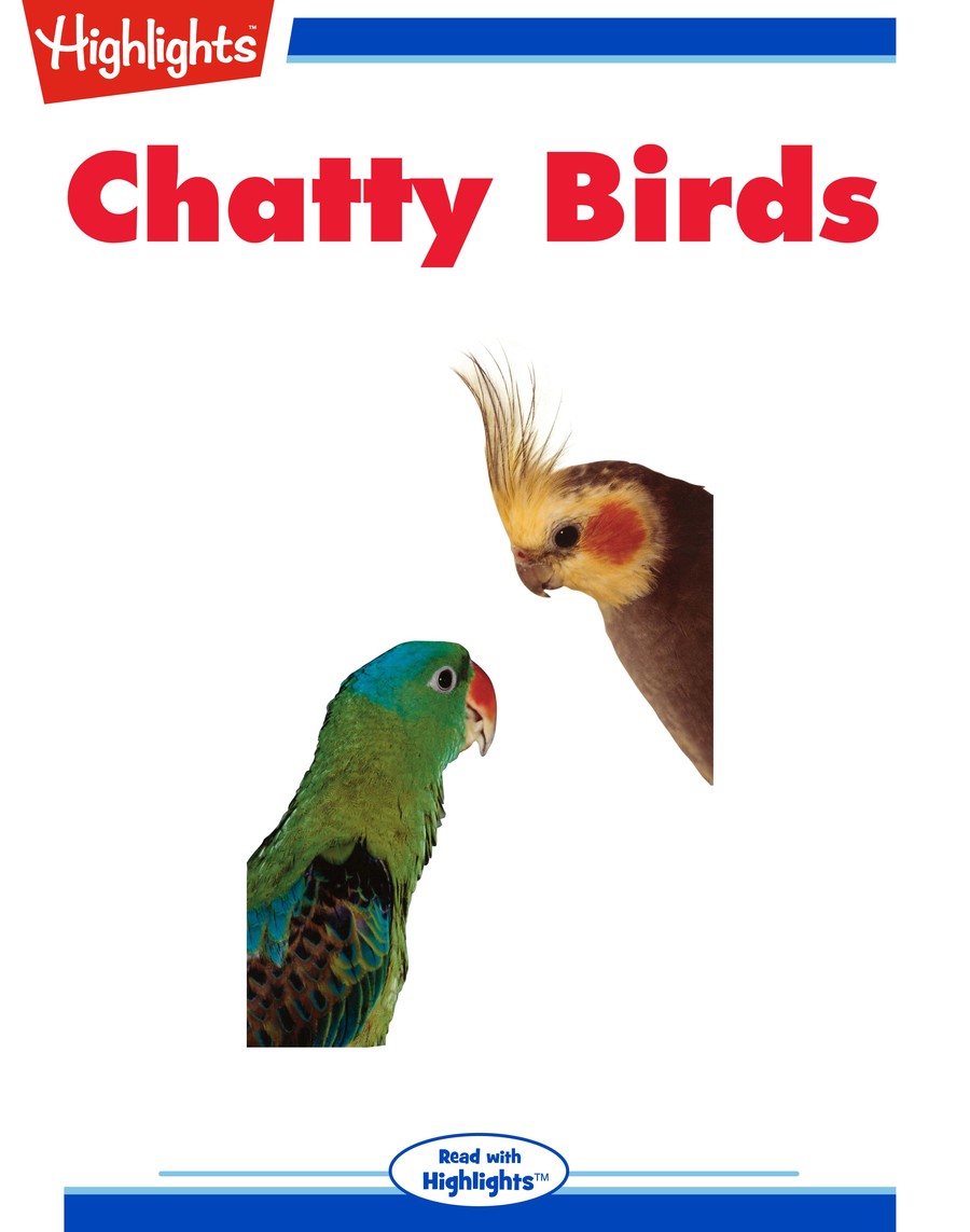 Chatty Birds : Highlights