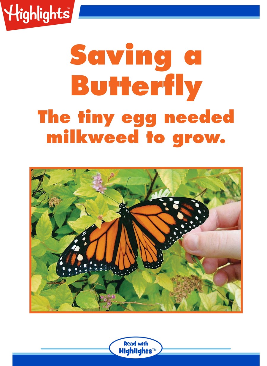 Saving a Butterfly : Highlights
