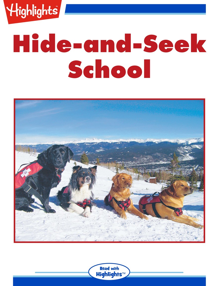Hide-and-Seek School : Highlights