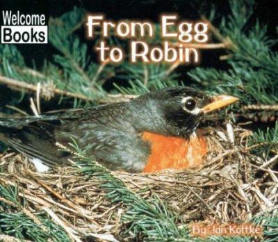 From egg to robin