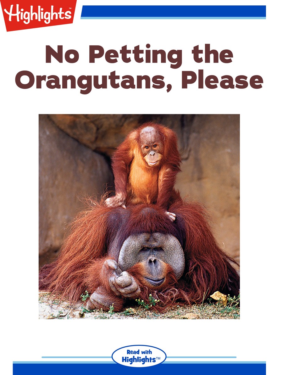 No Petting the Orangutans, Please : Highlights
