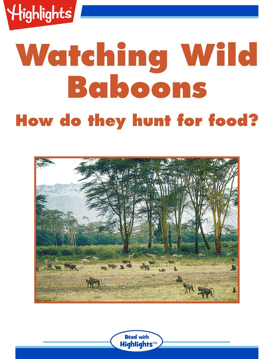 Watching Wild Baboons : Highlights