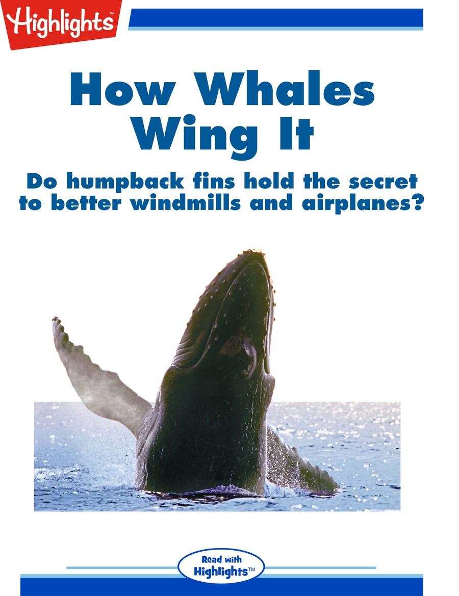 How Whales Wing It : Highlights