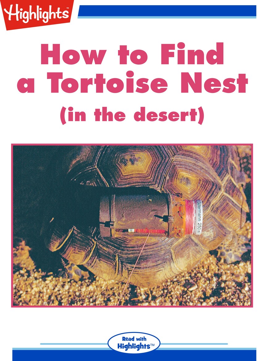 How to Find a Tortoise Nest : Highlights
