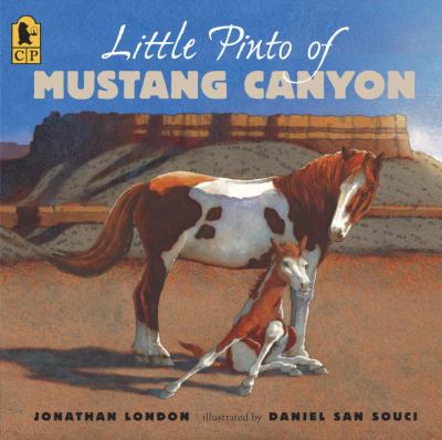 Little pinto of Mustang Canyon