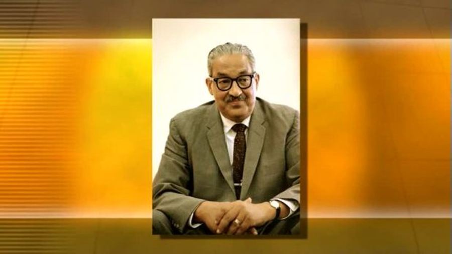 Thurgood Marshall : America's First African American Supreme Court Justice
