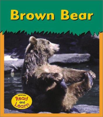 Brown bear