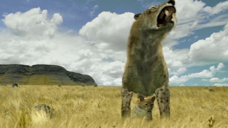 Sabre-Toothed Cat and Roar : Andy's Prehistoric Adventures