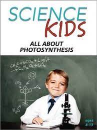 All About Photosynthesis
