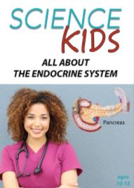 All About the Endocrine System