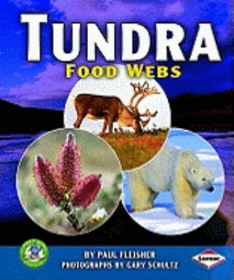 Tundra food webs