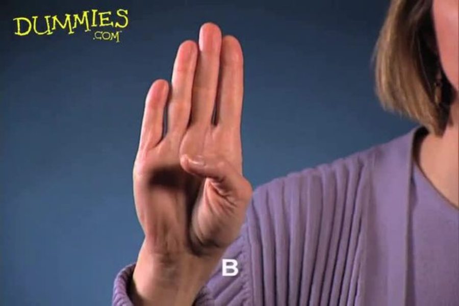 The Letters of the Alphabet in American Sign Language (ASL)