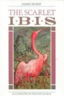 The scarlet ibis