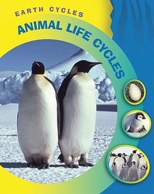 Animal life cycles
