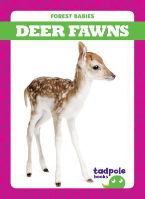 Deer fawns