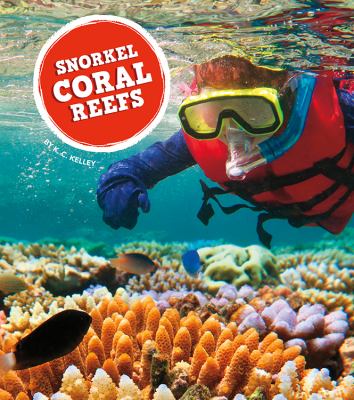 Snorkel coral reefs