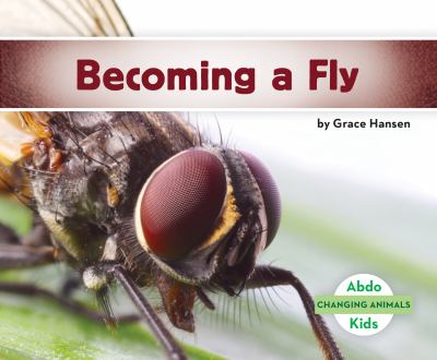 Becoming a fly