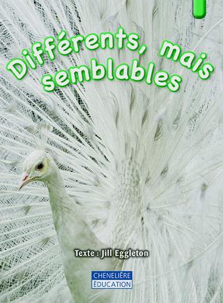 Différents mais semblables