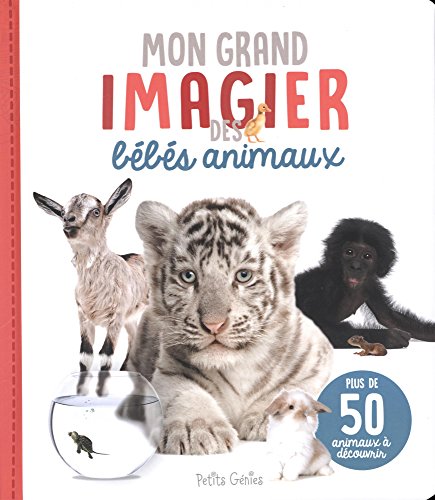 Mon grand imagier des bébés animaux