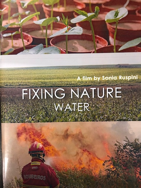 Fixing Nature : Water