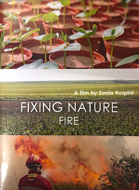 Fixing Nature : Fire