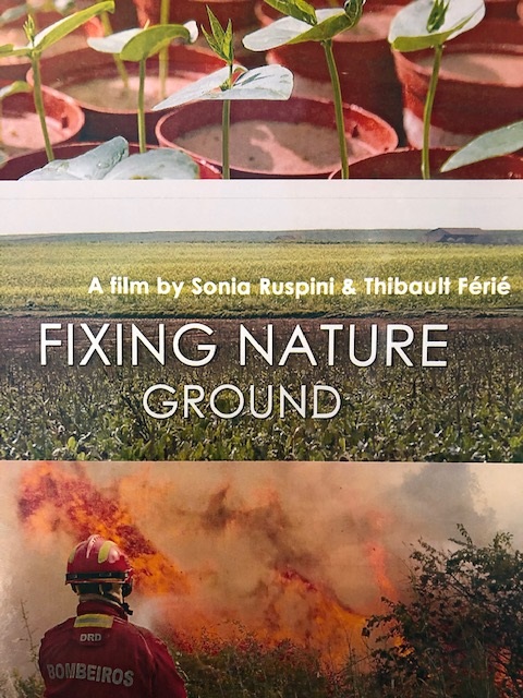 Fixing Nature : Ground