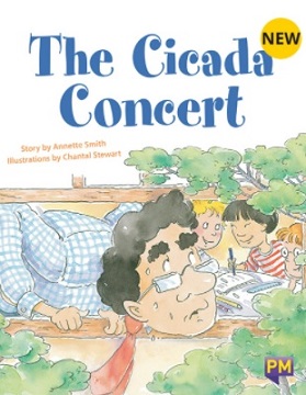 The Cicada concert