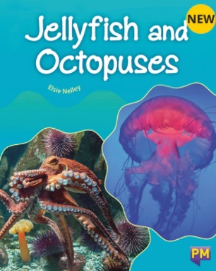Jellyfish and octopuses