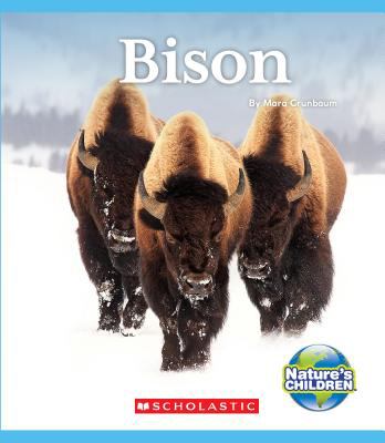 Bison