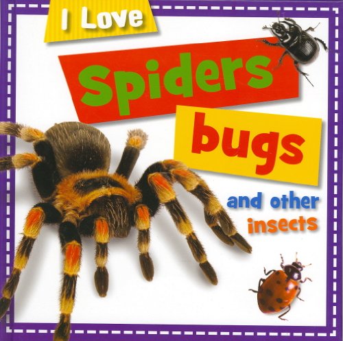 Spiders, bugs and other insects