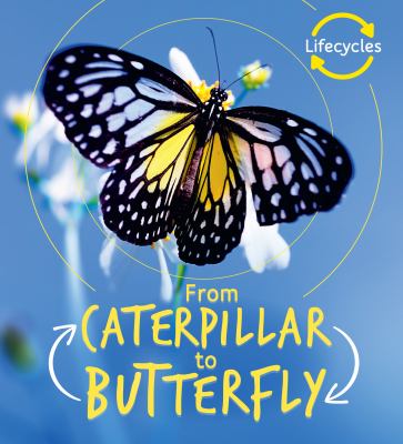 From caterpillar to butterfly