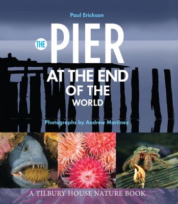 The pier at the end of the world