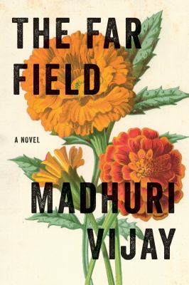 The far field : a novel