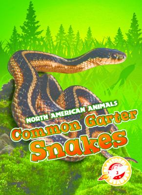 Common garter snakes