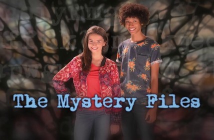 The mystery of sticks and stones : The mystery files