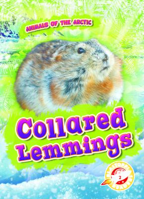 Collared lemmings