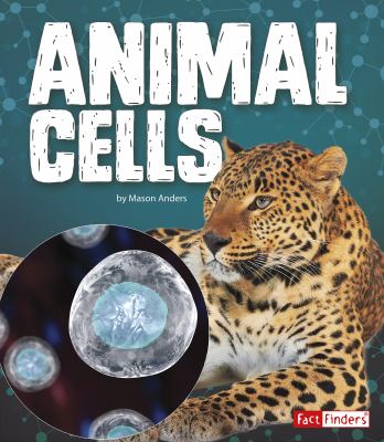 Animal cells