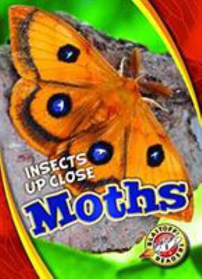 Moths