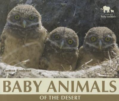 Baby animals of the desert