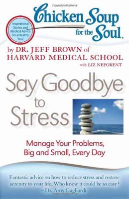 Chicken soup for the soul : say goodbye to stress : manage your problems, big and small, every day