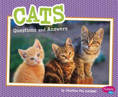 Cats : questions and answers