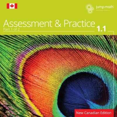 JUMP Math 1.1 : assessment & practice