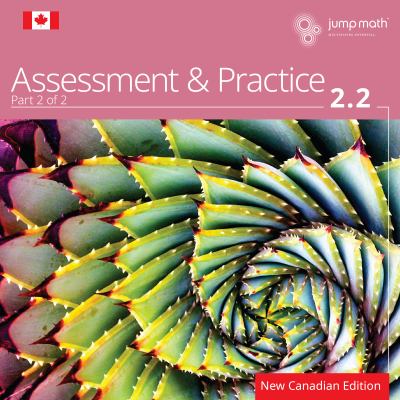 JUMP Math 2.2 : assessment & practice