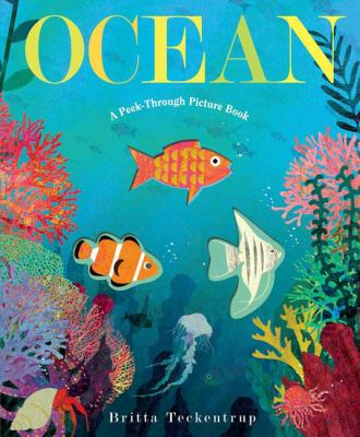 Ocean : a peek-through picture book