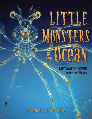 Little monsters of the ocean : metamorphosis under the waves