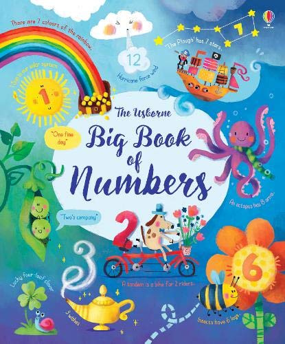 The Usborne big book of numbers