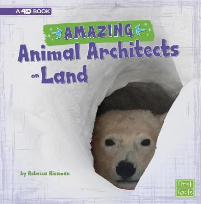 Amazing animal architects on land