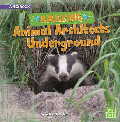 Amazing animal architects underground
